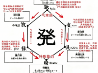 《全职猎人》念能力谱系